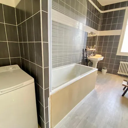 Le Viking Douillet - Proche Thermes & Parcs - Parking A 50m Апартаменты Виши